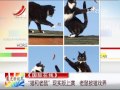 今日推荐 《国际在线》：“猫和老鼠”现实版上演 老鼠被猫戏弄 150412 高清