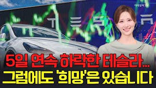 🚀[출근길 경제] 5일 연속 하락한 테슬라... 그럼에도 희망은 있습니다 | Market Signal (20250212)