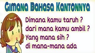 Video 214 # Belajar Bahasa Kantonis // Di mana, dari mana,  yang mana,