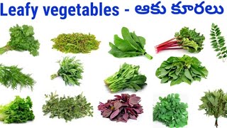 Leafy vegetables names, leafy vegetables, ఆకుకూరల పేర్లు, English to Telugu leafy vegetables names.