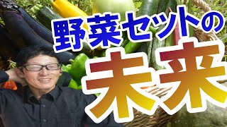 【飽和感】多品目栽培の野菜セット農家に未来はあるのか？ねっとり考察してみた