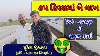 ટેટી - તરબૂચ  ની સફળ ખેતી | खरबूजा - तरबूज की खेती सफल कहानी | રાજુલા તાલુકાના પ્રગતિશીલ ખેડૂત |