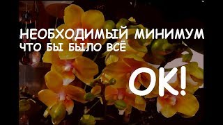 Новая орхидея - что нужно сделать чтобы всём было хорошо!