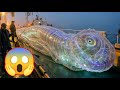 #fishing 🦑 #squid #あい #fish #seaworm 🐍 #すばらしい #釣り #sealife #amazing #海の生物 #मछलीपकड़ने #mancing