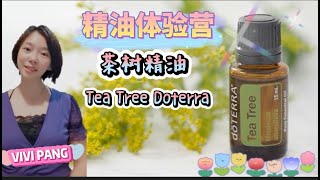 doTERRA® Tea Tree (Melaleuca) Oil Uses and Benefits | 多特瑞茶树精油 |   精油体验营 | 天然的抗菌消炎精油 |