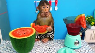 Baby Monkey Bu Bu enjoys delicious watermelon fruit juice