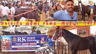 Anthiyur - 🔥Biggest Market |  Horse Market 2023 | அந்தியூர் குருநாதசாமி குதிரை சந்தை ! | Horse Sale