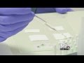 Carilion extending deadline to complete PERK kit