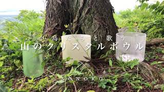 遠藤 園子「小鳥たちと歌う〜山のクリスタルボウル」