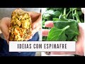 RECEITAS COM ESPINAFRE | O que fazer com espinafre | MARINA MORAIS