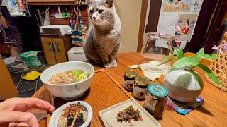 晩ごはんのおかわりを食べて.. おばあちゃんがきつね蕎麦とおにぎりを食べるのを観て..  金魚鉢の水を飲んだあとは..  家の中をパトロールする猫・・・