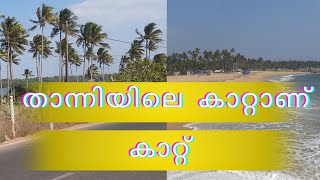 താന്നി ബീച്ച് വഴിയൊരു  ചുറ്റിയടി അതൊരു വല്ലാത്ത ഇതാണ് #youtube #sreenadhvlogz #thannibeach