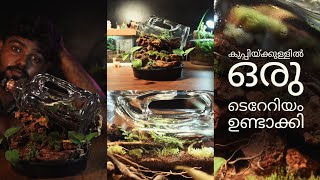 terrarium  inside  a bottle  | കുപ്പിയ്ക്കുള്ളിൽ ഒരു ടെറേറിയം ഉണ്ടാക്കി