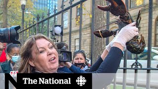 Mi’kmaq sell lobster outside N.S. legislature as tensions rise