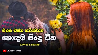 මනෝපාරකට ( Slowed And Reverb Sinhala Songs ) Mind Relaxing Songs Sinhala | Manop