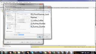 Importing Data Using Import and Export Wizard