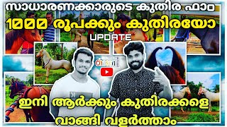 | സാധാരണ കാരന്റെ കുതിര ഫാo | ഇനി ആർക്കും കുതിരക്കളെ വാങ്ങി വളർത്താം | Horses For Everyone🔥|