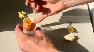 Introducing the Dippy Egg