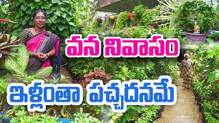 ఇంటి స్థలం కన్నా పెరటి తోటే ఎక్కువ | Kitchen Garden | Manjula