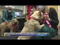 Conway Medical Center launches therapy dog program