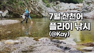 [Flyflanet 198][플라이낚시 조행] 7월 산천어 플라이낚시_대한민국 강원도_flyfishing in korea