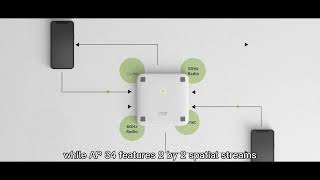 Juniper mist access point