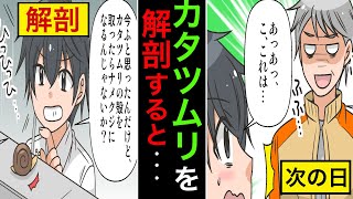 【漫画】カタツムリを解剖するとナメクジになる！？果たして結果は...【雑学漫画】