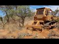 Innovative roots ripping process to protect Australia's arid woodlands