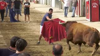 Feira Anual de Outubro e 43.º Salão de Artesanato com a força da tradição em Vila Franca de Xira