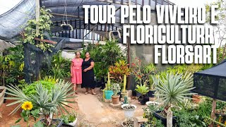 TOUR POR UMA FLORICULTURA QUE TEM DE PLANTAS MORDENAS À PLANTAS DA VOVÓ | PLANTAS ORNAMENTAIS