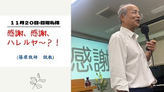 ２０２２年１１月２０日・日曜礼拝　　感謝、感謝、ハレルヤ～？！　　　　　　　　　　　　　　　　　　　　篠原隆牧師