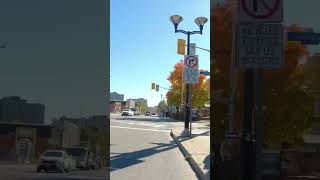 WTL Cycles 15 KM in Ottawa, October 18, 2024 in 60 Seconds #ottawa #bike #cycling #timelapse