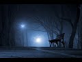 calming relaxing music piano music for daily life useful music piano relaxing relaxingmusic