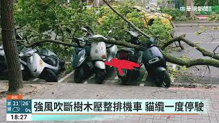 雙北今午後吹怪風！　河濱公園帳篷垮壓傷女｜華視新聞 20230323