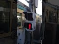 shorts 桜井飛羽 鉄道 電車 神奈川 江ノ電 海 踏切