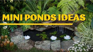 Mini Ponds Ideas Small Natural Garden Pond Ideas