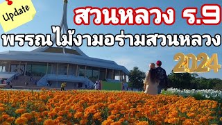 พาเที่ยวงานสวนหลวง ร.9 ดอกไม้ปูพรมเต็มพื้นที่  500 ไร่ สวยอลังงามระดับโลก ตะลึงกับความสวยงาม #ep88