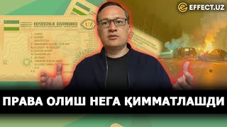 ТОШКЕНТДА ПРАВА ОЛИШ НАРХИ НЕГА ОСМОНГА ЧИҚИБ КЕТДИ – КОМИЛ АЛЛАМЖАНОВ ЖАВОБИ – EFFECT.UZ