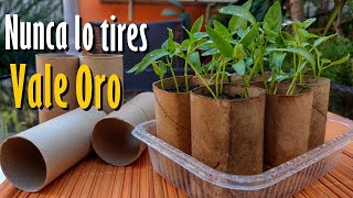 ¡Nunca los tires! Son Puro Beneficio para tus PLANTAS