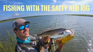 Inshore Kayak Fishing with the Salty Ned Rig