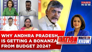 TDP Spokesperson Explains Why Andhra Pradesh Is Getting A Bonanza From The BJP's Union Budget 2024