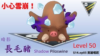 【Pokemon Go 高級聯盟PVP】暗影長毛豬｜Level50暗影參戰，高傷雪崩誰能抗得住？暗影長毛豬高級聯盟實測