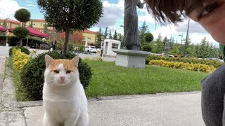 dunyanin en iyi universite vlogu