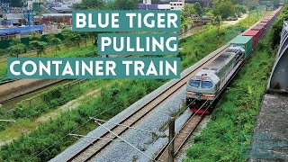 Blue Tiger 26110 pulling container train heading north