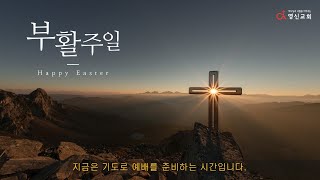 영신교회 20220417 부활주일 2부 예배  실시간 live