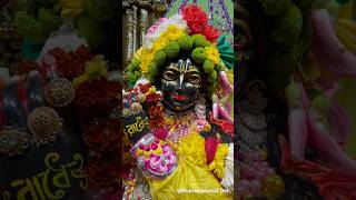 Most Marchful Darshan SriSri Radha-Kunjabihari ISKCON Prabartak CTG BD #youtube #reels #love #iskcon