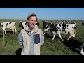 de koeien mogen weer naar buiten met epke zonderland