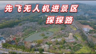 574集：单人自驾旅行武汉樱花园，60元门票担心被坑，巧克力这办法非常机智