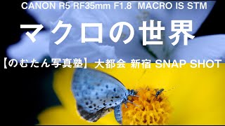 【野村誠一写真塾No097】 CANON R5 感性と技術 について、RF35mm F1.8  MACRO IS STM