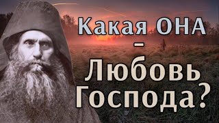 Какая ОНА - Любовь Господа? Силуан Афонский